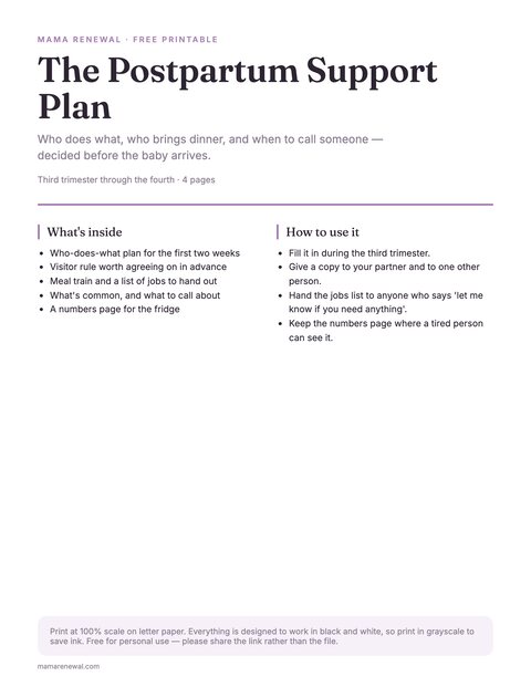 The Postpartum Support Plan preview