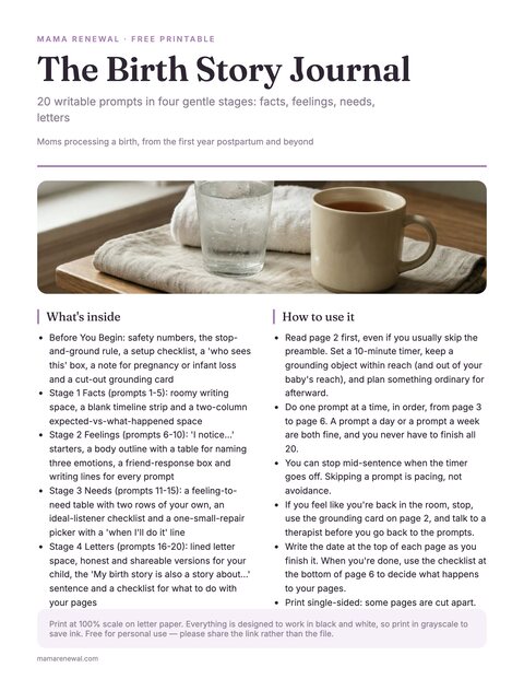 The Birth Story Journal preview