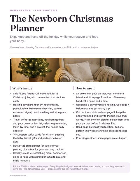 The Newborn Christmas Planner preview
